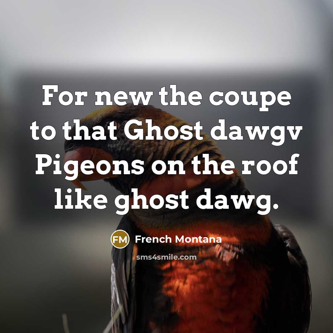 “For new the coupe to that Ghost dawgv Pigeons on the roof like ghost dawg.” quote by French Montana