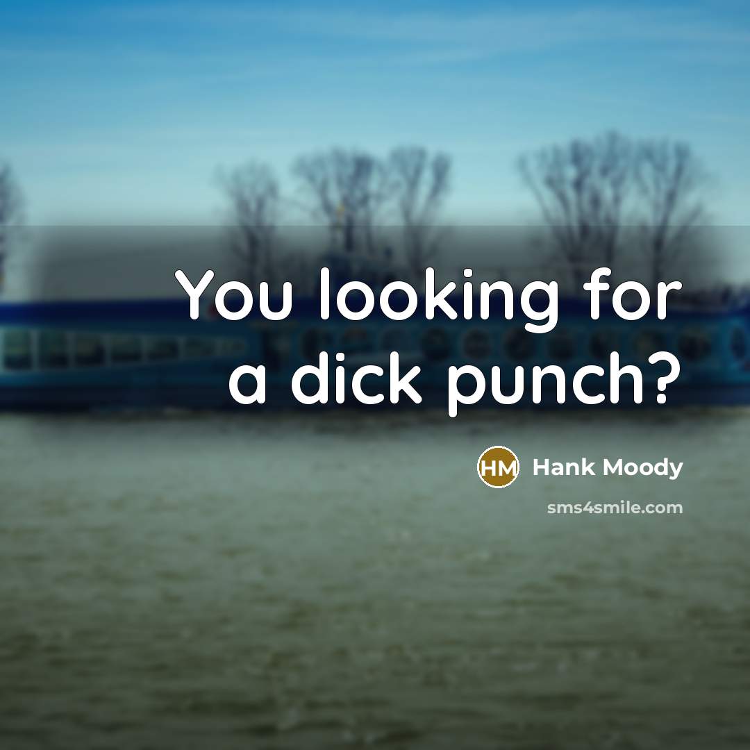 “You looking for a dick punch?…” quote by Hank Moody