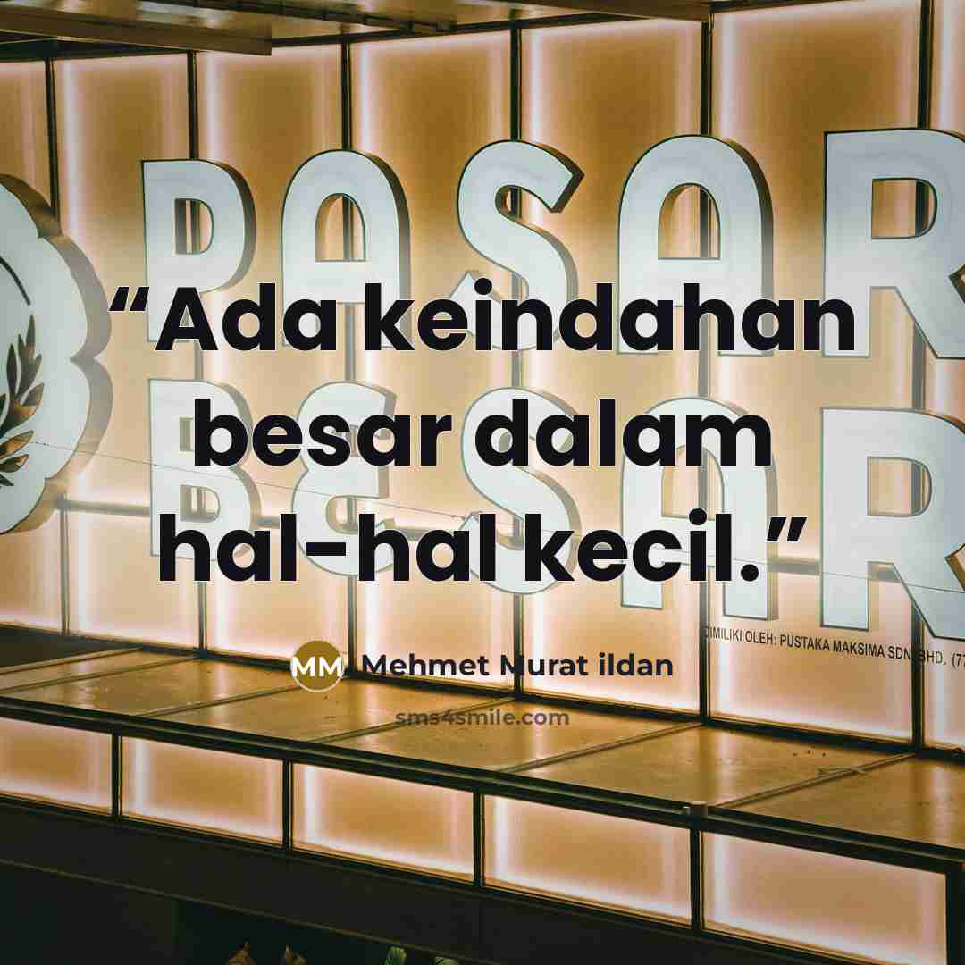 “Ada keindahan besar dalam hal-hal kecil.” quote by Mehmet Murat ildan