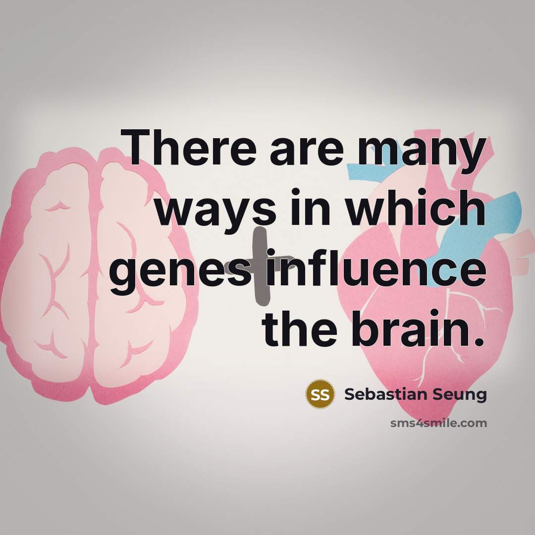 “There are many ways in which genes influence the brain.…” quote by Sebastian Seung