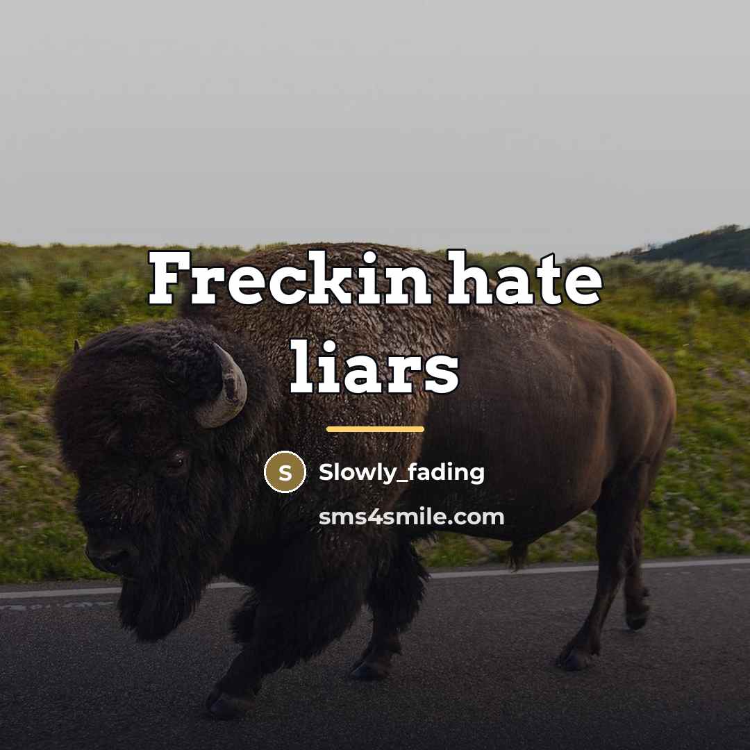 “Freckin hate liars…” quote by Slowly_fading
