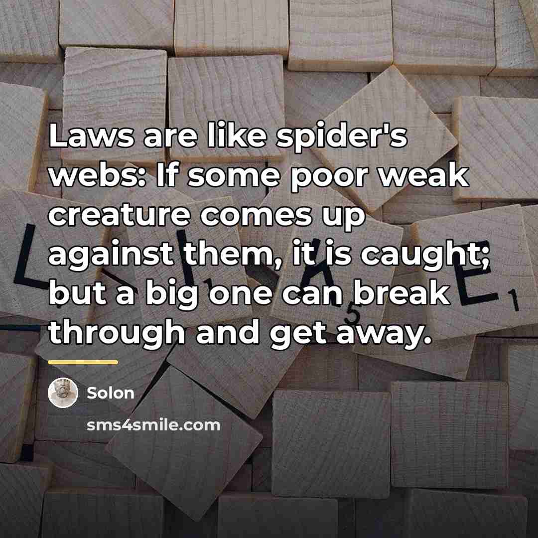 “Laws are like spider's webs: If some poor weak creature…” quote by Solon