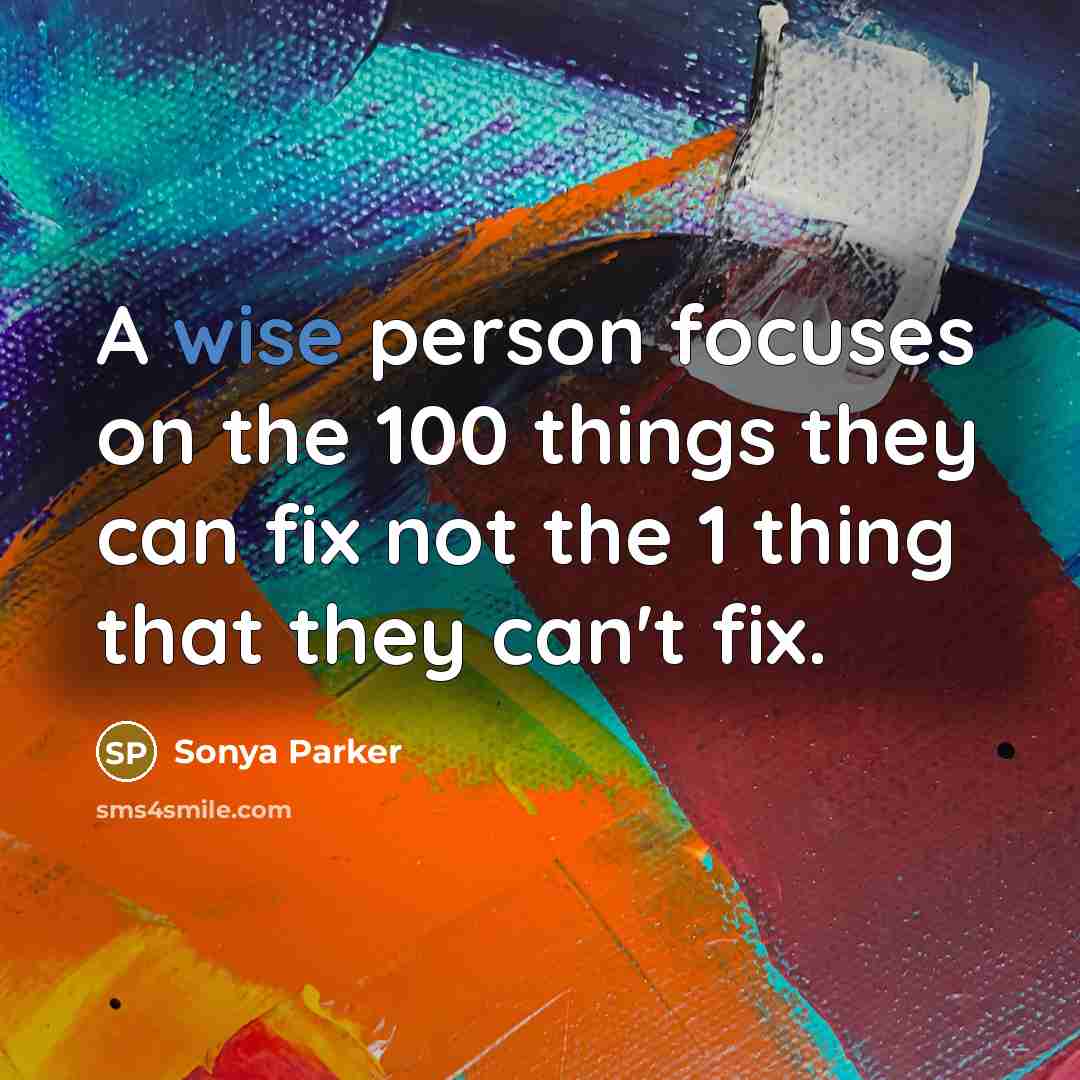 “A wise person focuses on the 100 things they can…” quote by Sonya Parker