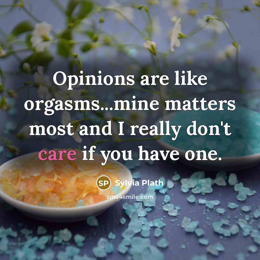 “Opinions are like orgasms...mine matters most and I really don't…” quote by Sylvia Plath