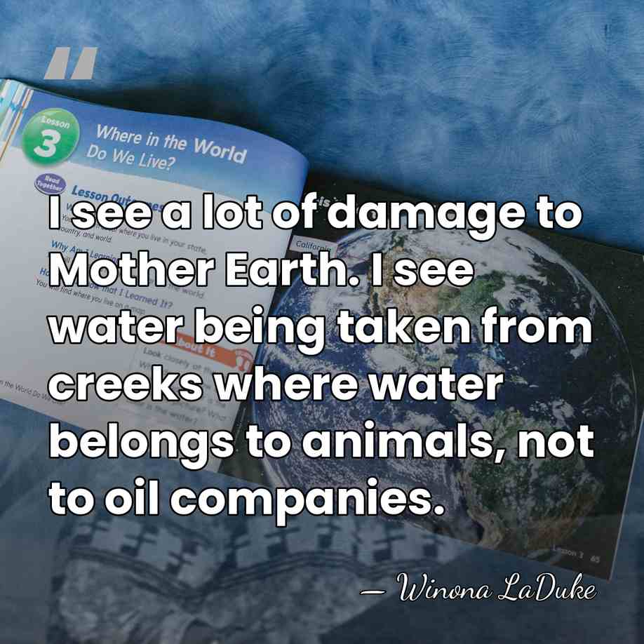I see a lot of damage to Mother Earth. I see water&hellip; - Winona LaDuke