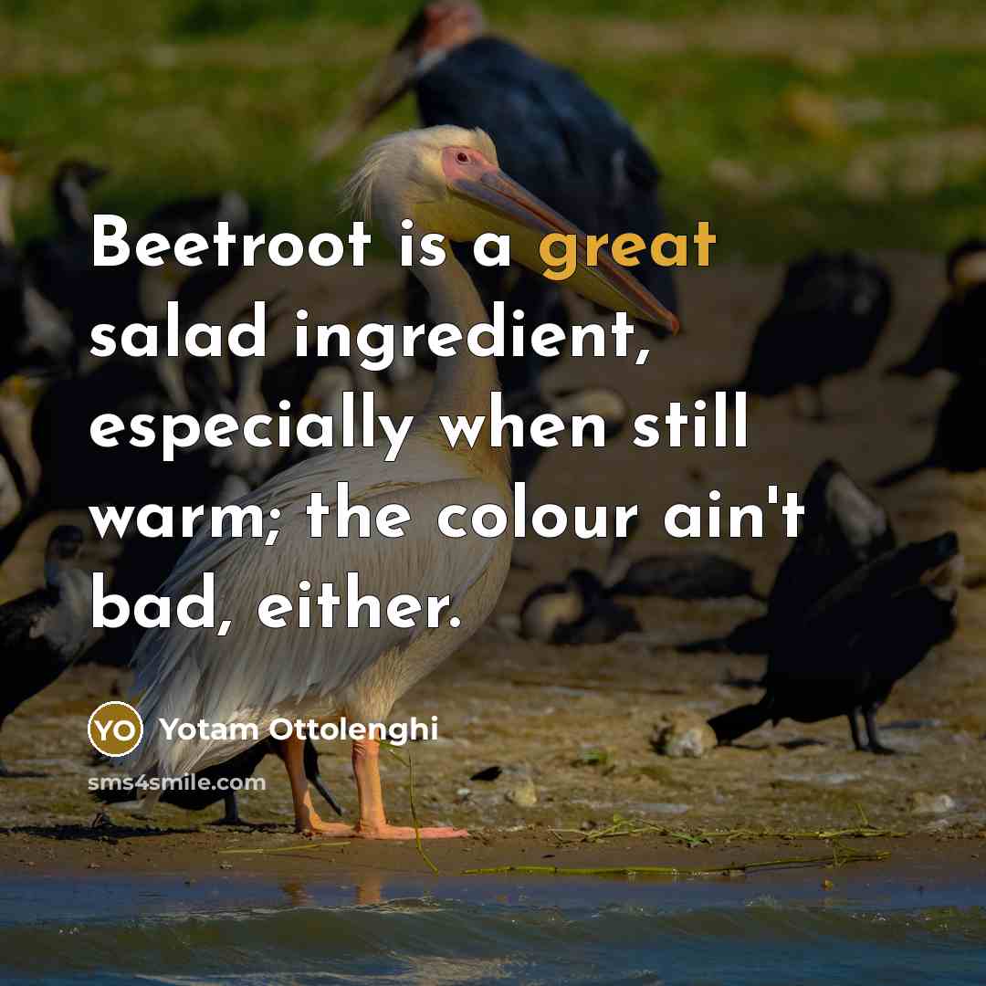 “Beetroot is a great salad ingredient, especially when still warm;…” quote by Yotam Ottolenghi