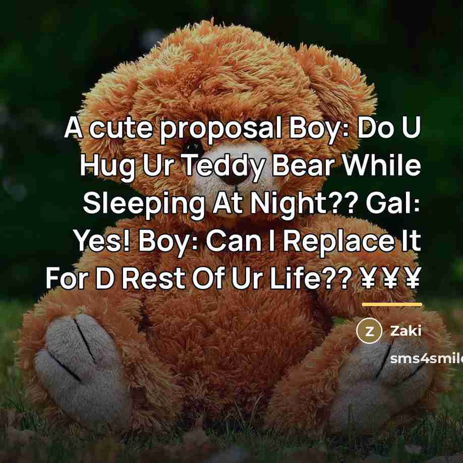“A cute proposal Boy: Do U Hug Ur Teddy Bear…” quote by Zaki