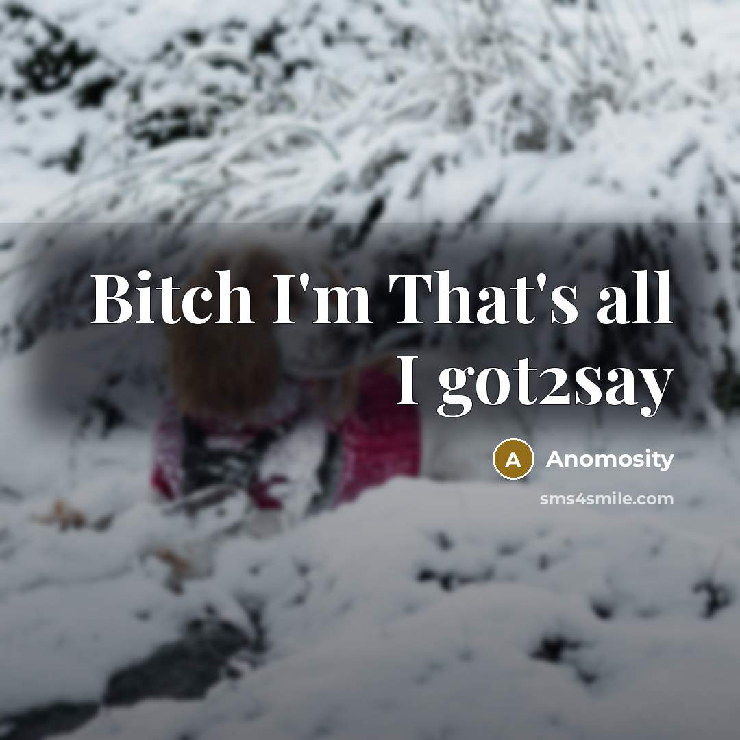 “Bitch I'm That's all I got2say…” quote by Anomosity