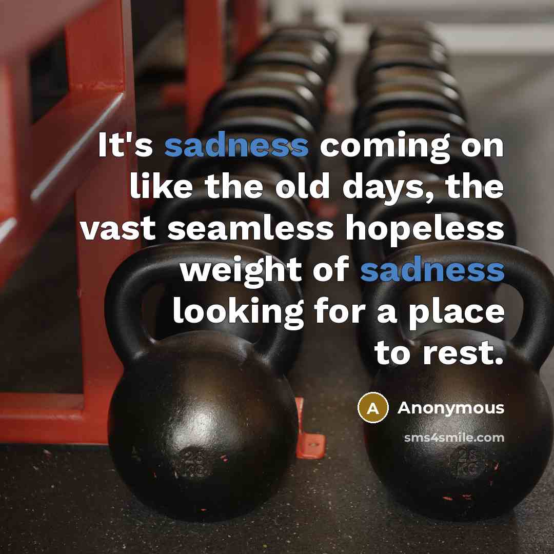 “It's sadness coming on like the old days, the vast…” quote by Anonymous