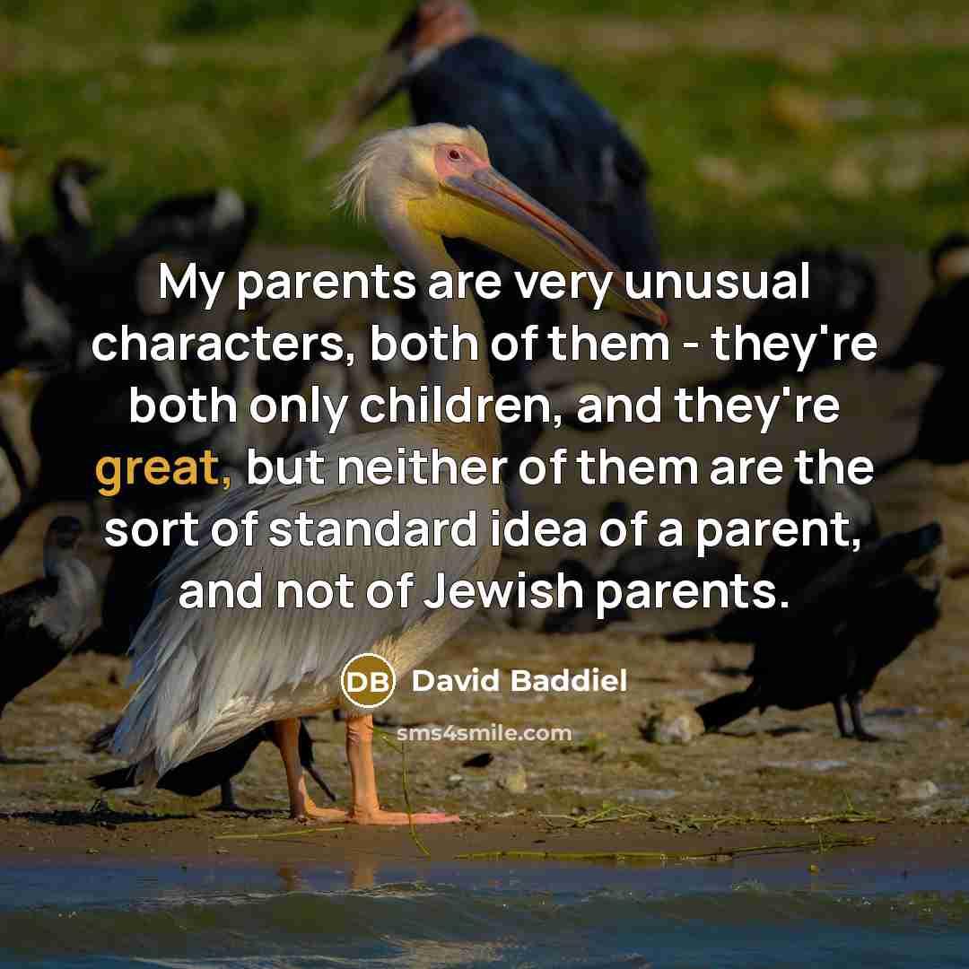 “My parents are very unusual characters, both of them -…” quote by David Baddiel