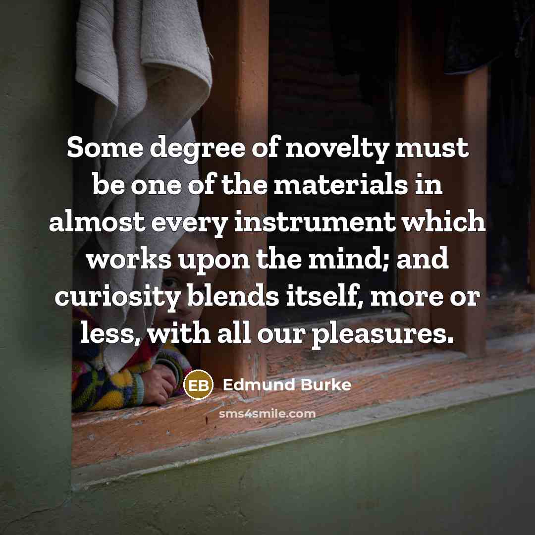 “Some degree of novelty must be one of the materials…” quote by Edmund Burke