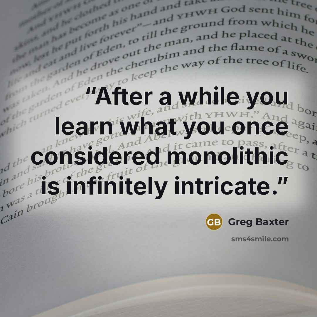 “After a while you learn what you once considered monolithic is infinitely intricate.” quote by Greg Baxter