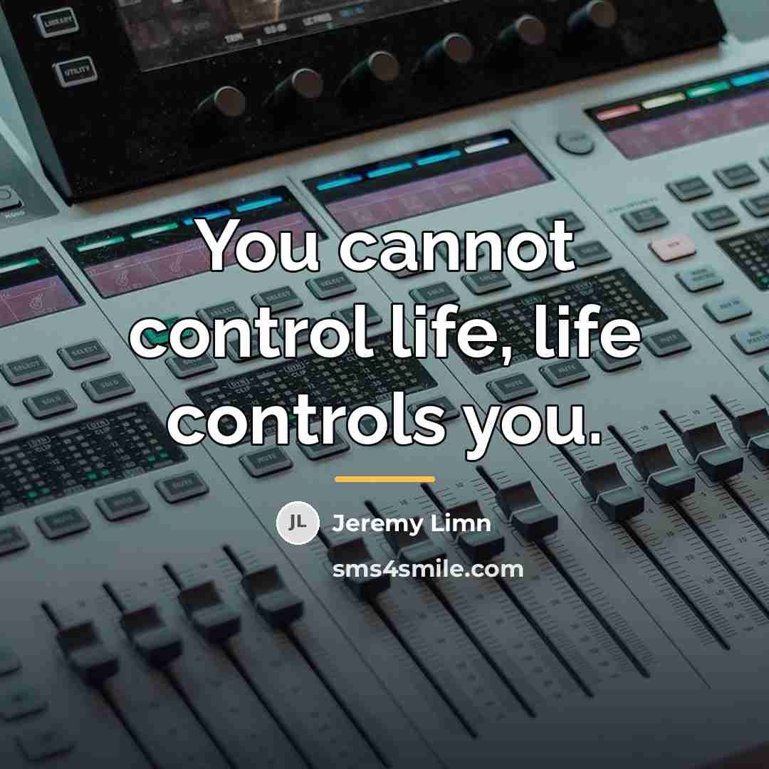 “You cannot control life, life controls you.…” quote by Jeremy Limn