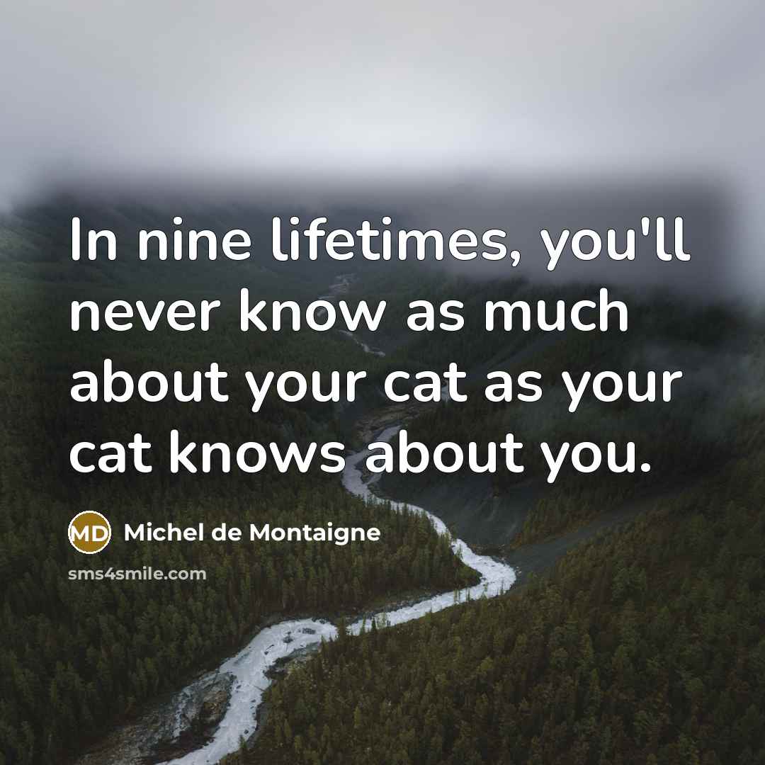 “In nine lifetimes, you'll never know as much about your…” quote by Michel de Montaigne