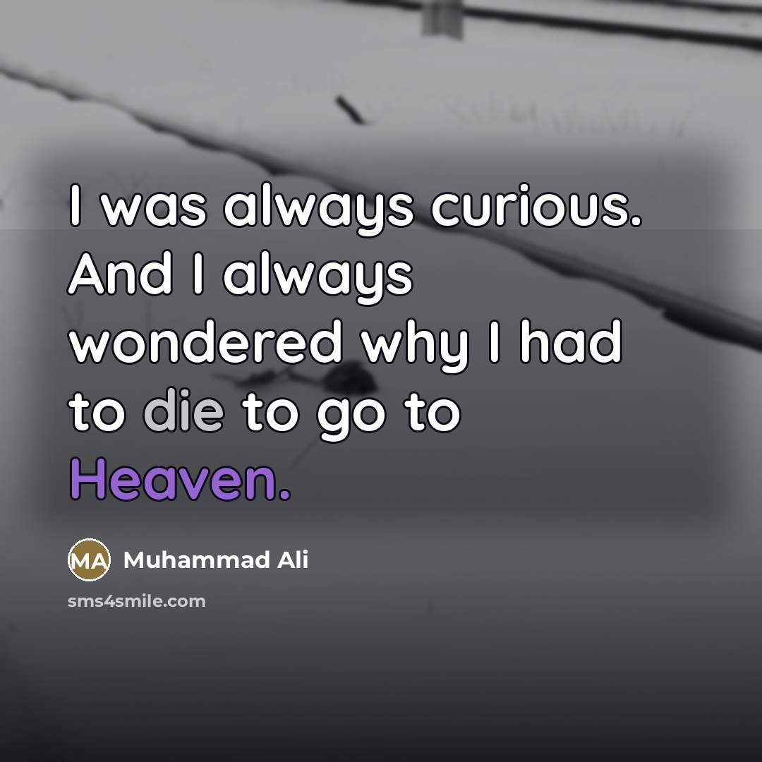 “I was always curious. And I always wondered why I…” quote by Muhammad Ali