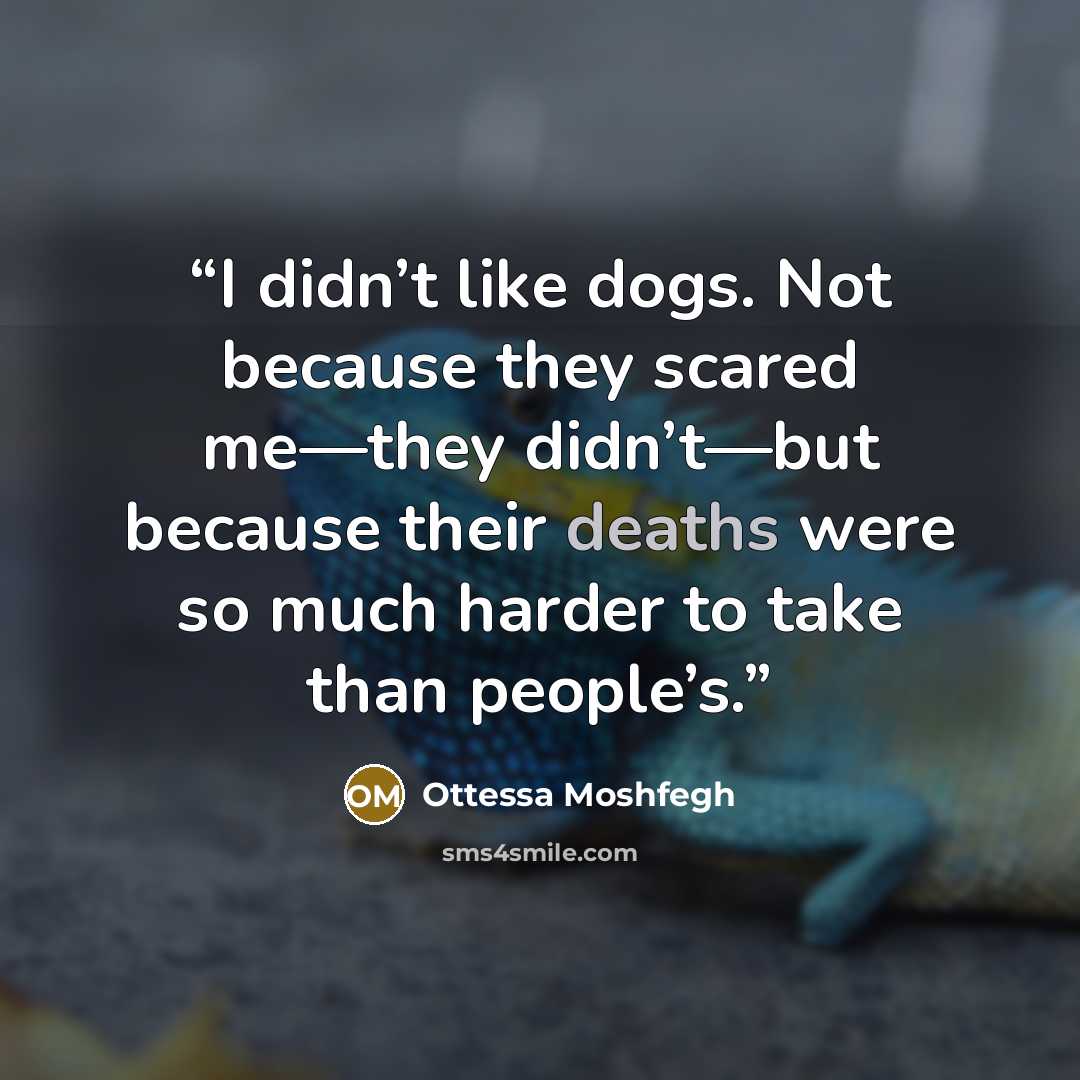“I didn’t like dogs. Not because they scared me—they didn’t—but because their deaths were so much harder to take than people’s.” quote by Ottessa Moshfegh