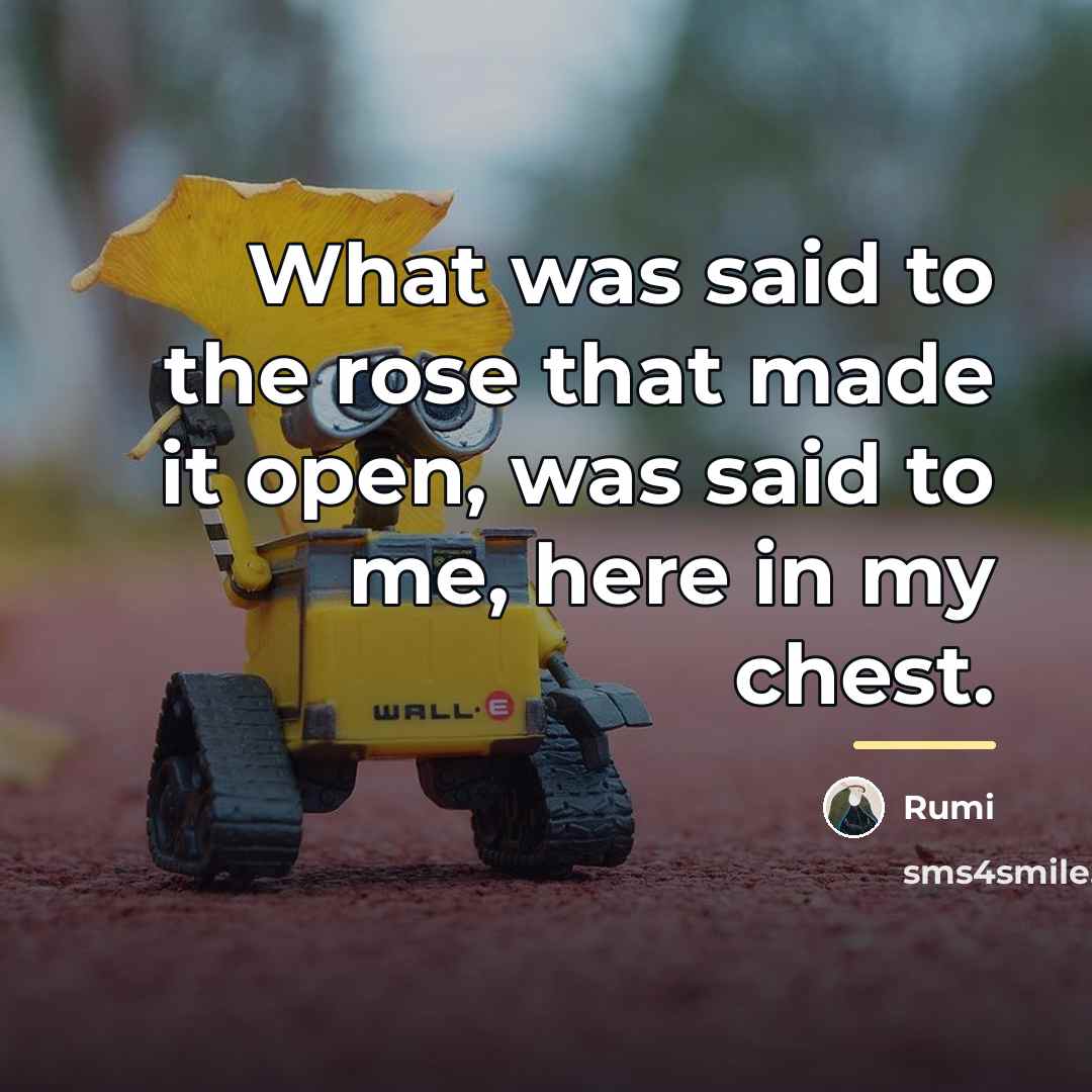 “What was said to the rose that made it open,…” quote by Rumi