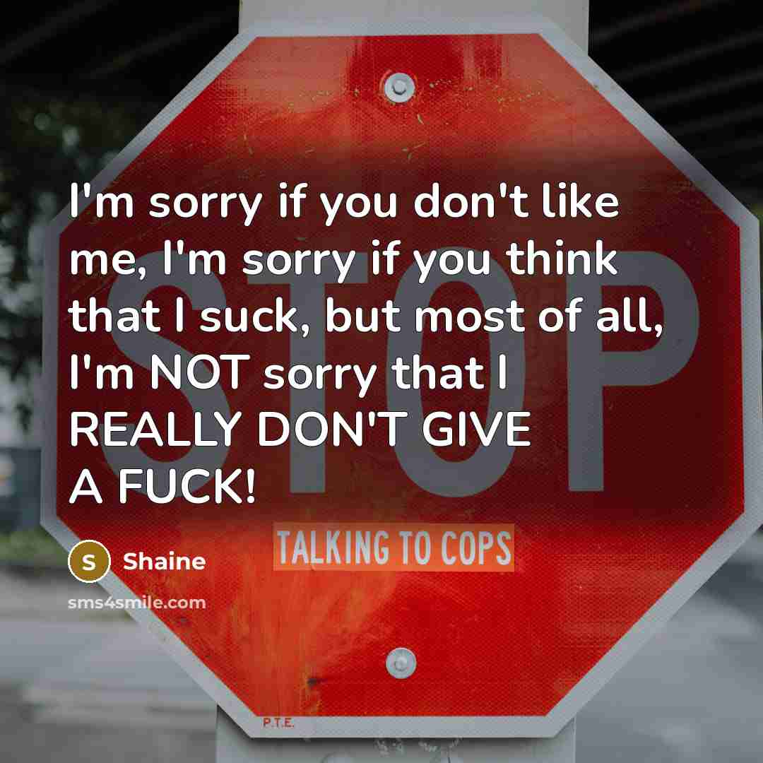 “I'm sorry if you don't like me, I'm sorry if…” quote by Shaine