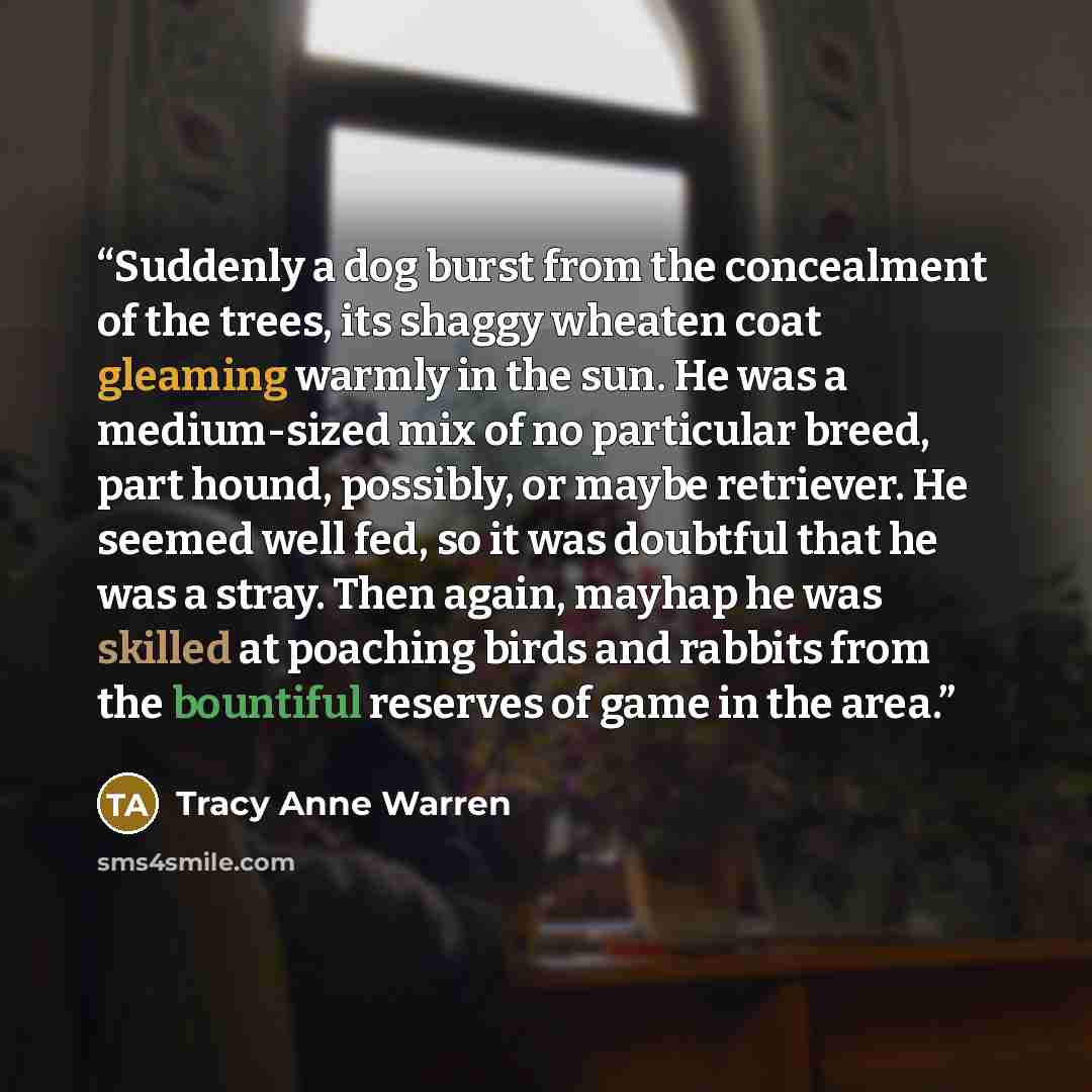 “Suddenly a dog burst from the concealment of the trees, its shaggy wheaten coat gleaming warmly in the sun. He was a medium-sized mix of no particular breed, part hound, possibly, or maybe retriever. He seemed well fed, so it was doubtful that he was a stray. Then again, mayhap he was skilled at…” quote by Tracy Anne Warren