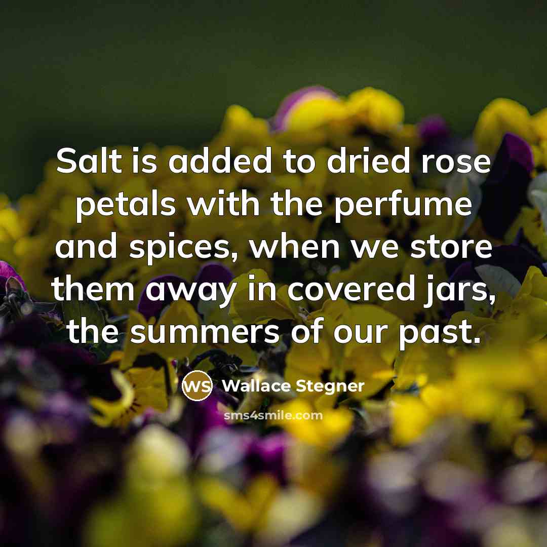 “Salt is added to dried rose petals with the perfume…” quote by Wallace Stegner