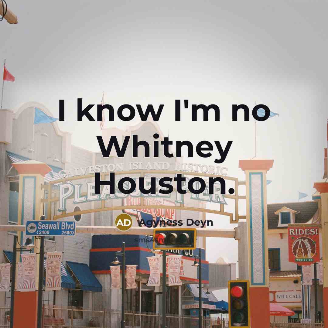 “I know I'm no Whitney Houston.…” quote by Agyness Deyn