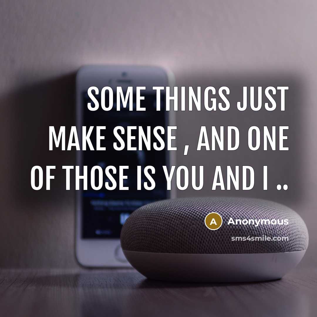 “Some things just make sense , and one of those is you and I ..” quote by Anonymous