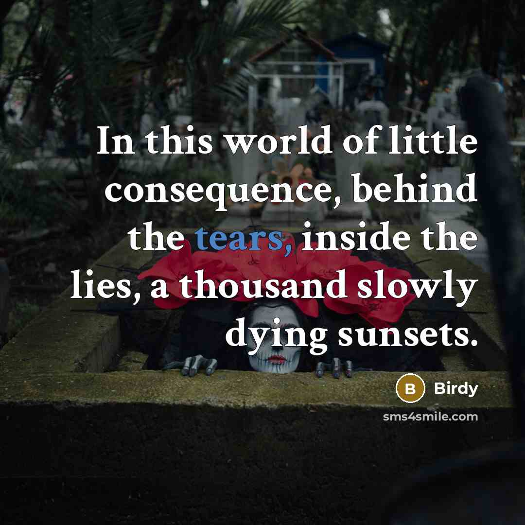 “In this world of little consequence, behind the tears, inside…” quote by Birdy
