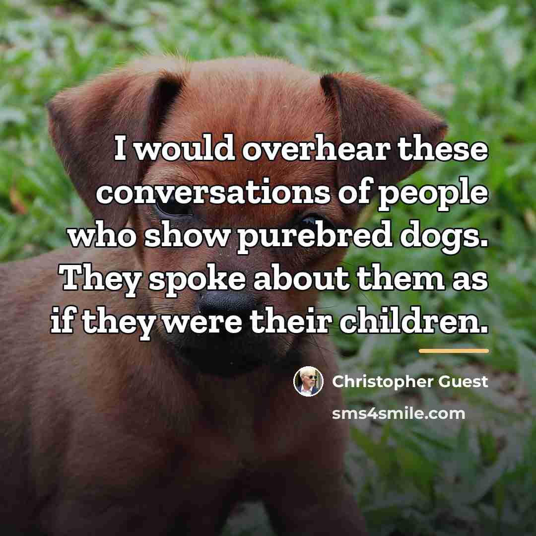 “I would overhear these conversations of people who show purebred…” quote by Christopher Guest
