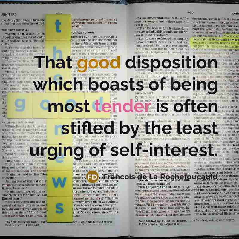 “That good disposition which boasts of being most tender is…” quote by Francois de La Rochefoucauld