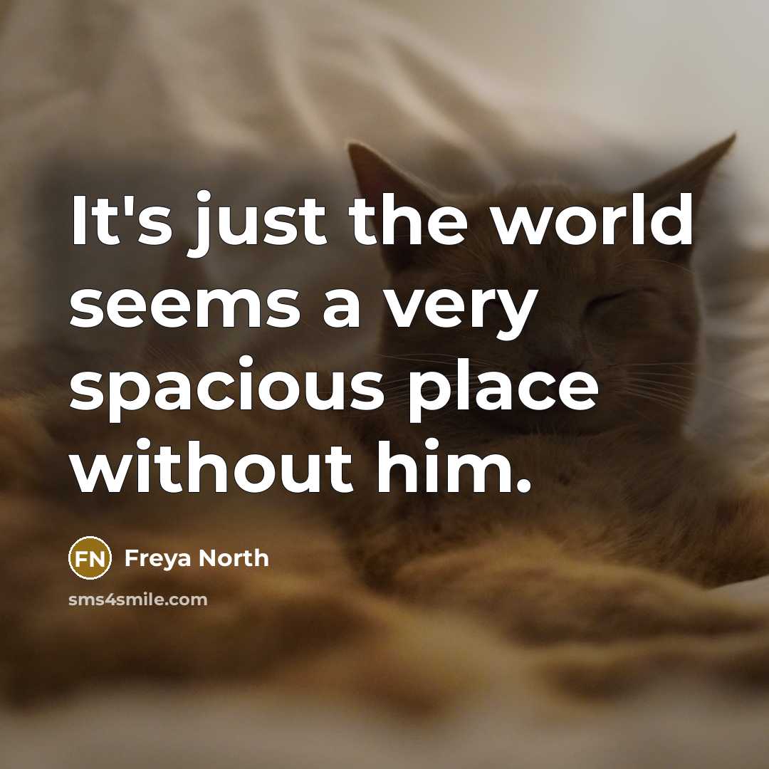 “It's just the world seems a very spacious place without…” quote by Freya North