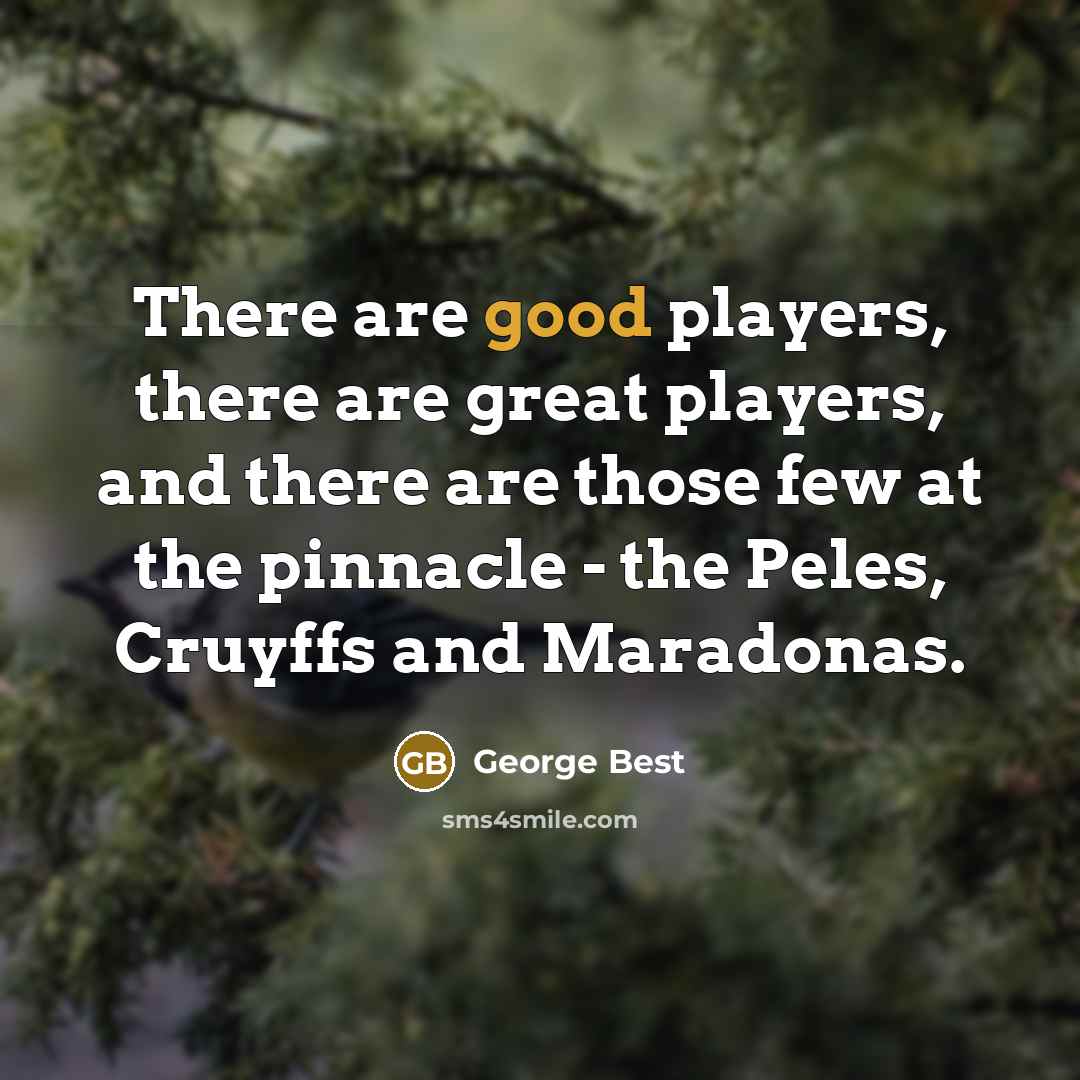 “There are good players, there are great players, and there…” quote by George Best