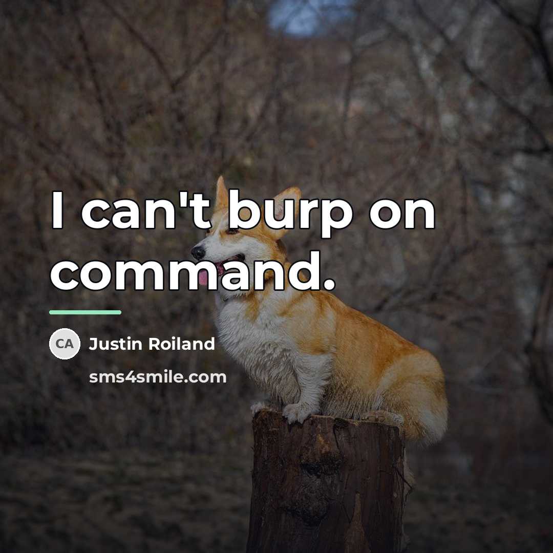 “I can't burp on command.…” quote by Justin Roiland