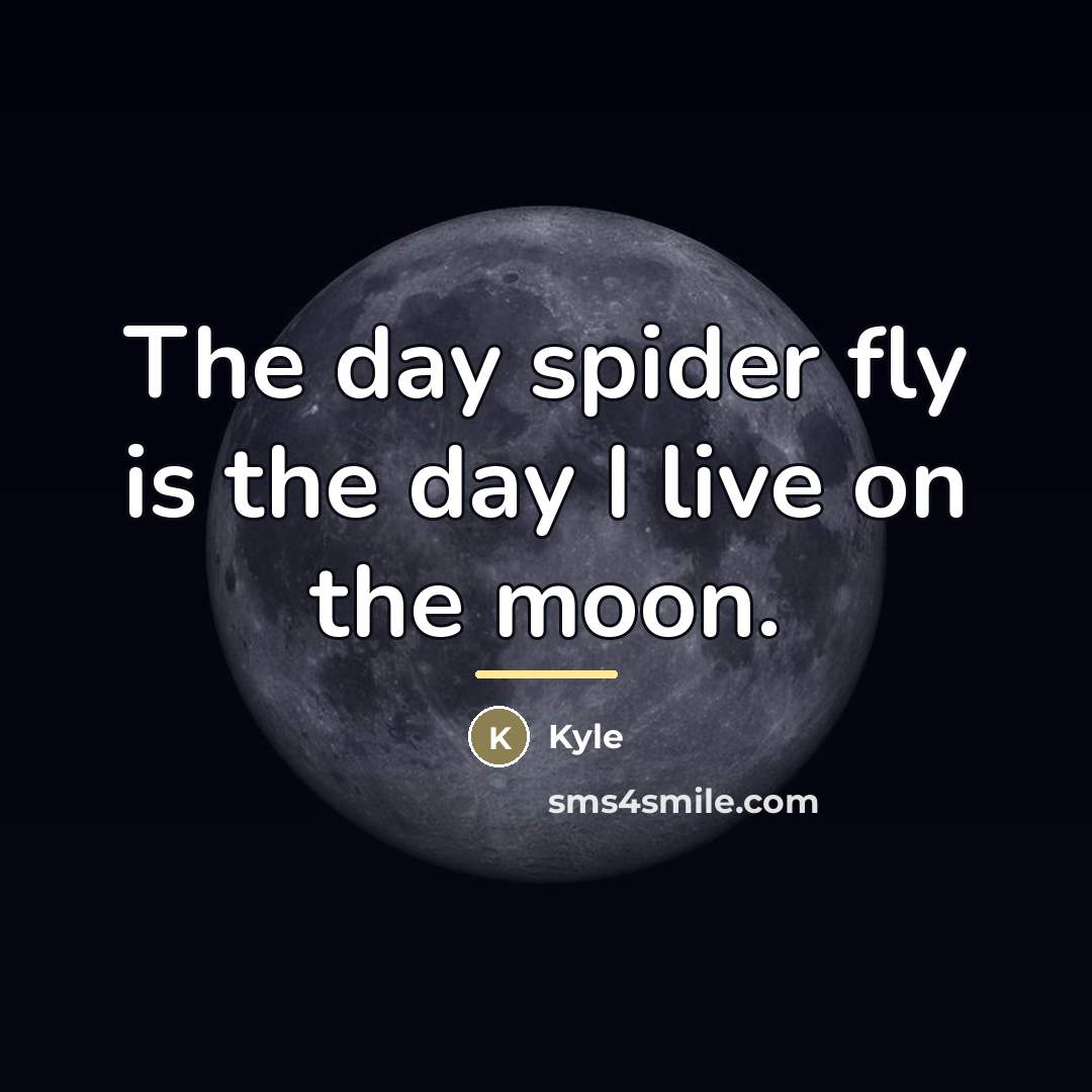 “The day spider fly is the day I live on…” quote by Kyle