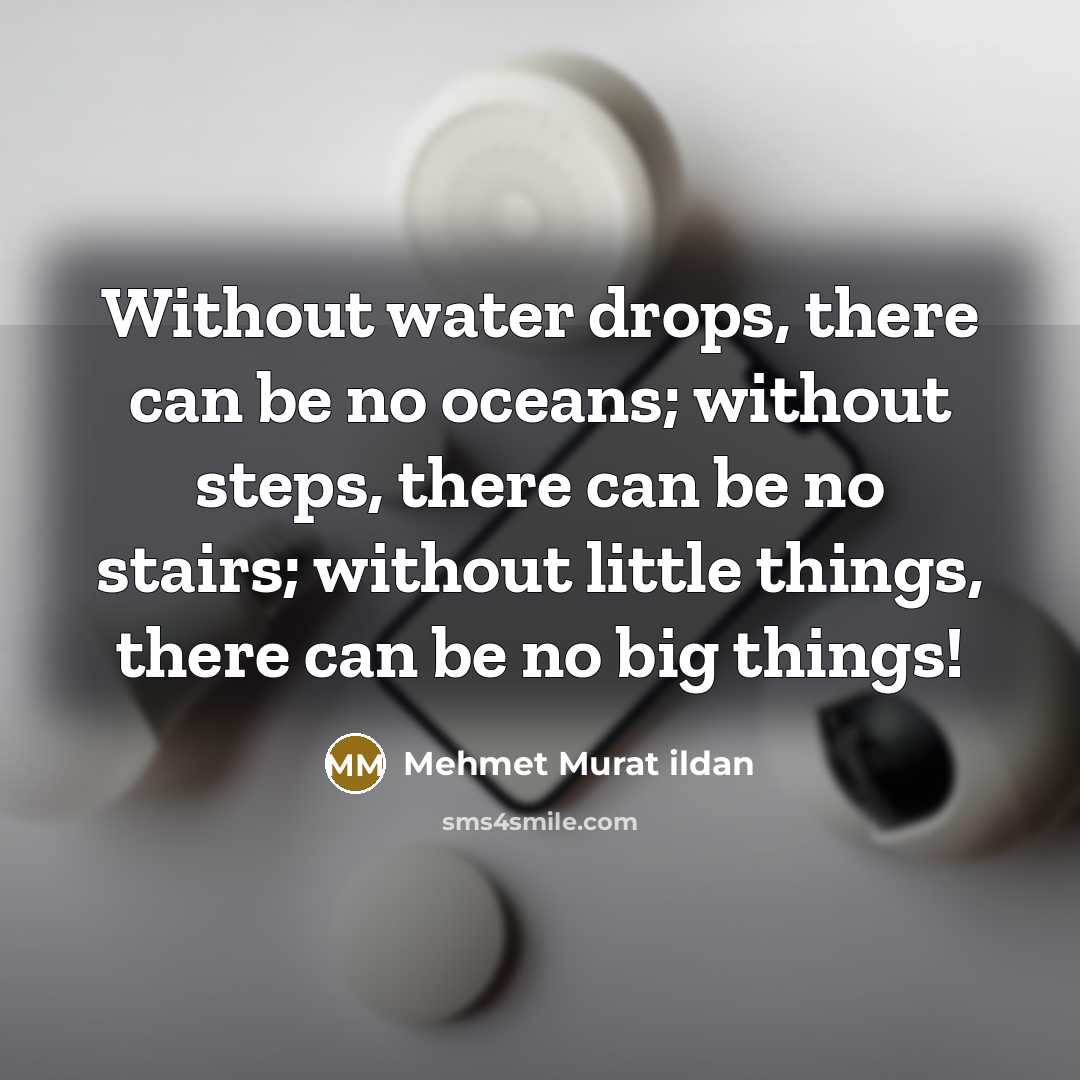 “Without water drops, there can be no oceans; without steps,…” quote by Mehmet Murat Ildan