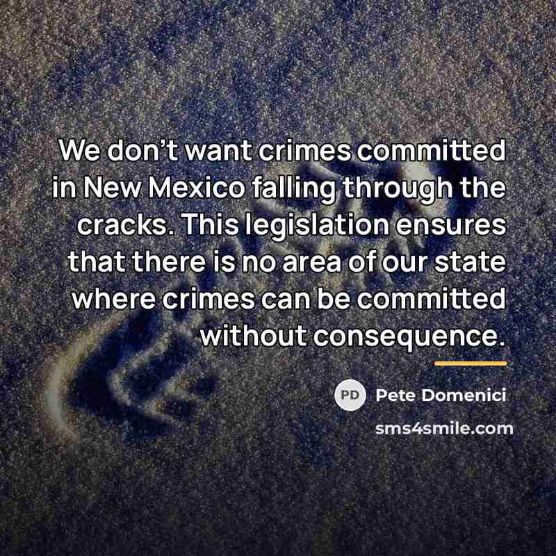 “We don't want crimes committed in New Mexico falling through…” quote by Pete Domenici