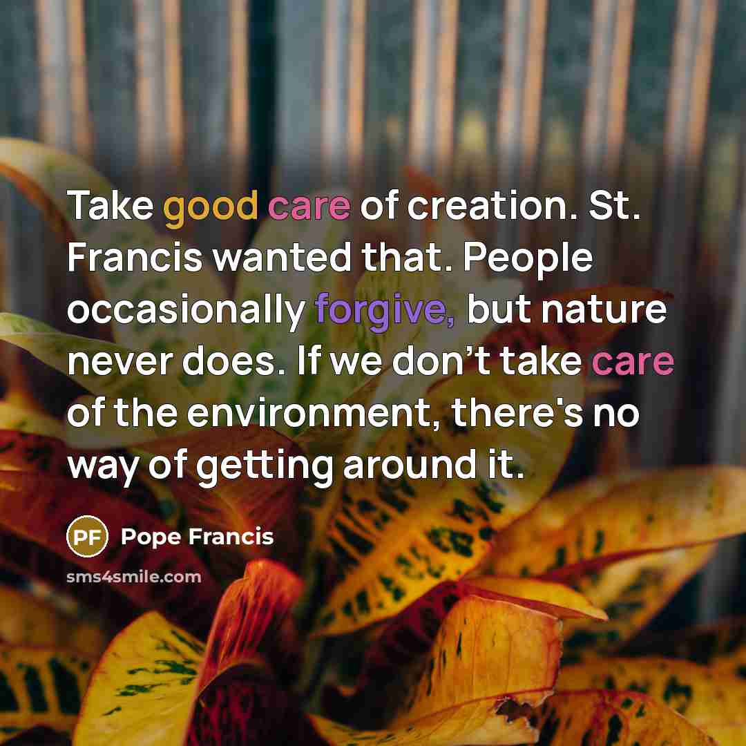 “Take good care of creation. St. Francis wanted that. People…” quote by Pope Francis