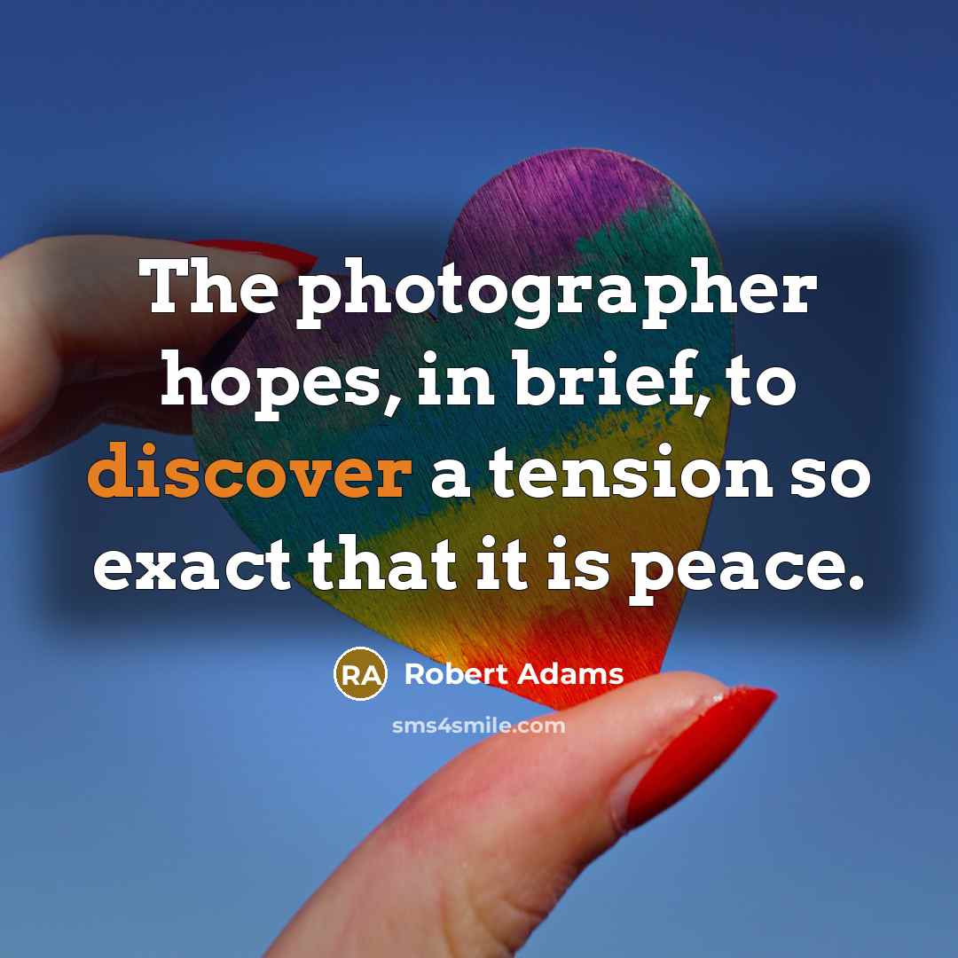 “The photographer hopes, in brief, to discover a tension so…” quote by Robert Adams