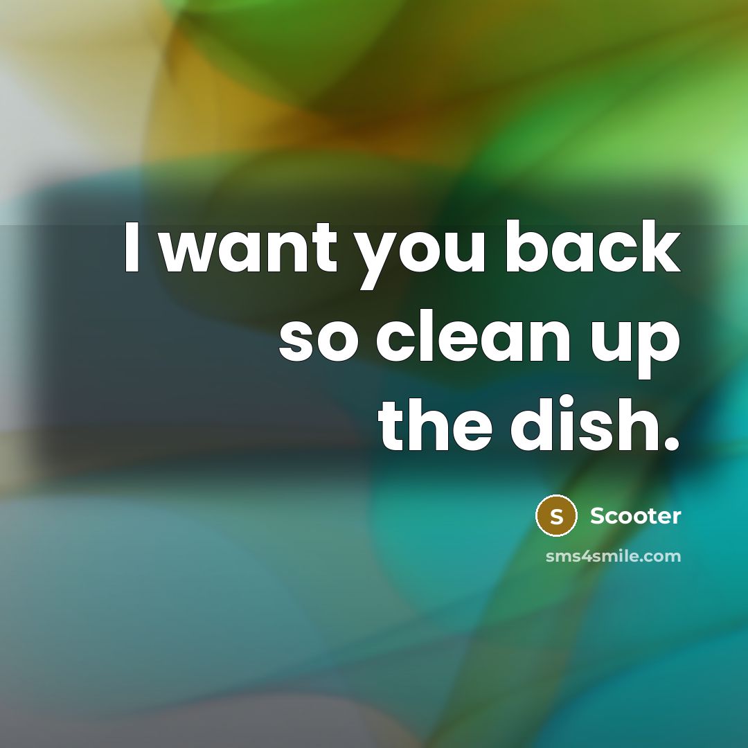 “I want you back so clean up the dish.” quote by Scooter