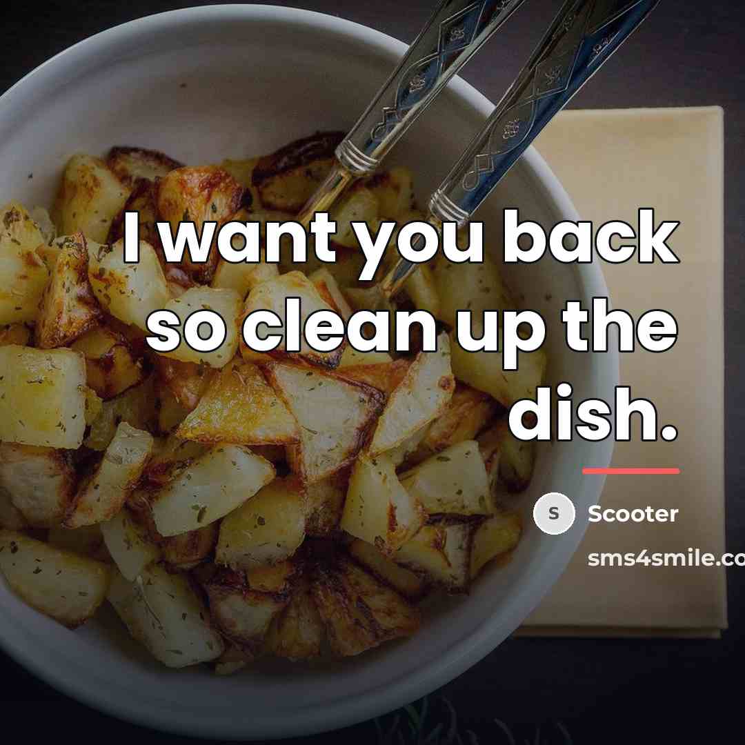 “I want you back so clean up the dish.…” quote by Scooter