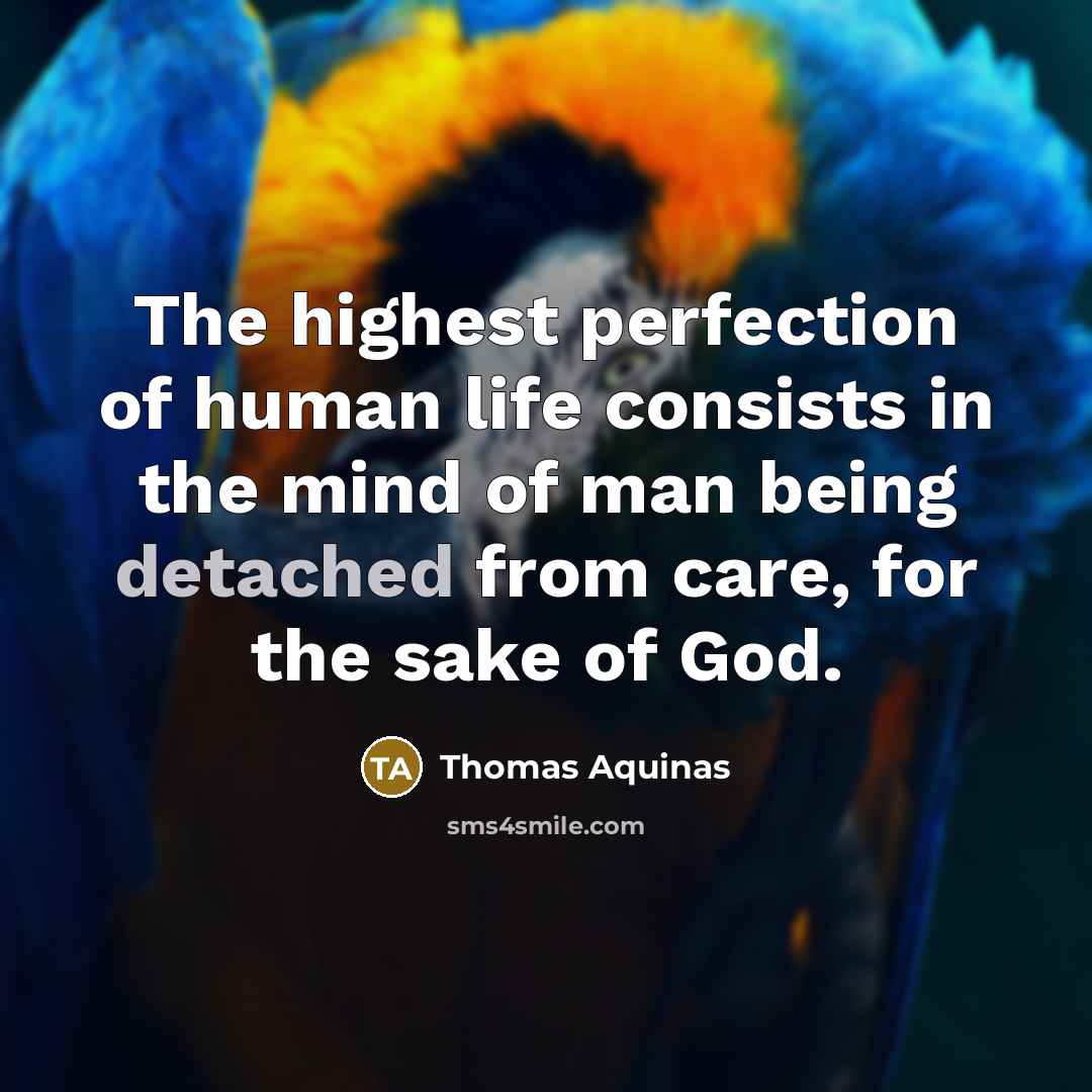 “The highest perfection of human life consists in the mind…” quote by Thomas Aquinas