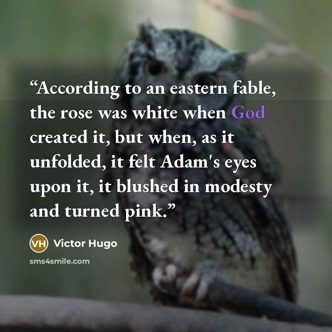 “According to an eastern fable, the rose was white when God created it, but when, as it unfolded, it felt Adam's eyes upon it, it blushed in modesty and turned pink.” quote by Victor Hugo
