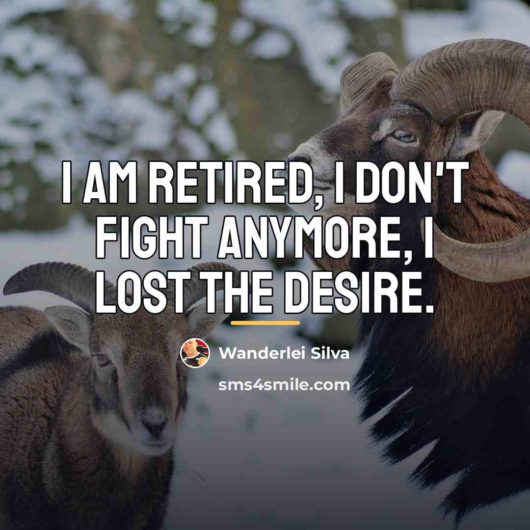 “I am retired, I don't fight anymore, I lost the…” quote by Wanderlei Silva