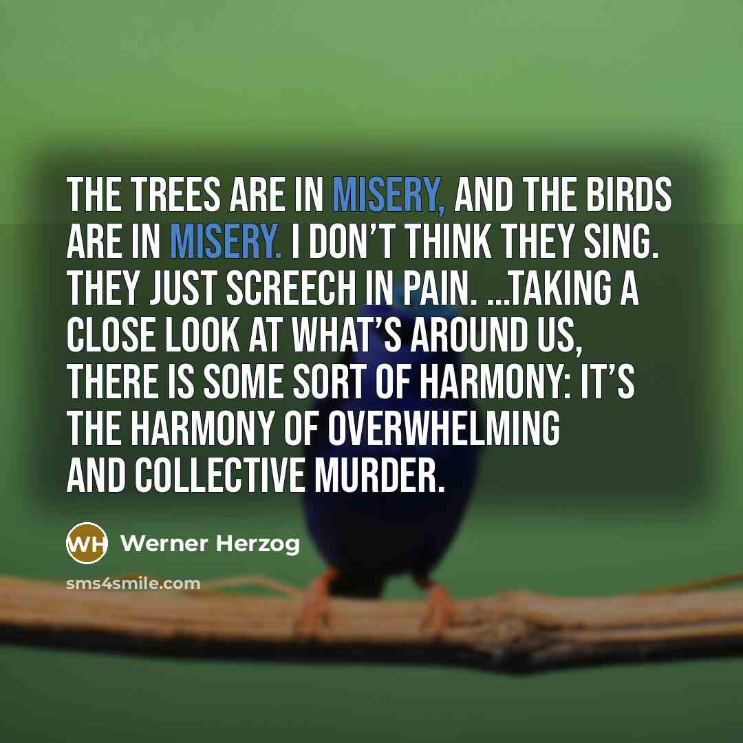 “The trees are in misery, and the birds are in…” quote by Werner Herzog