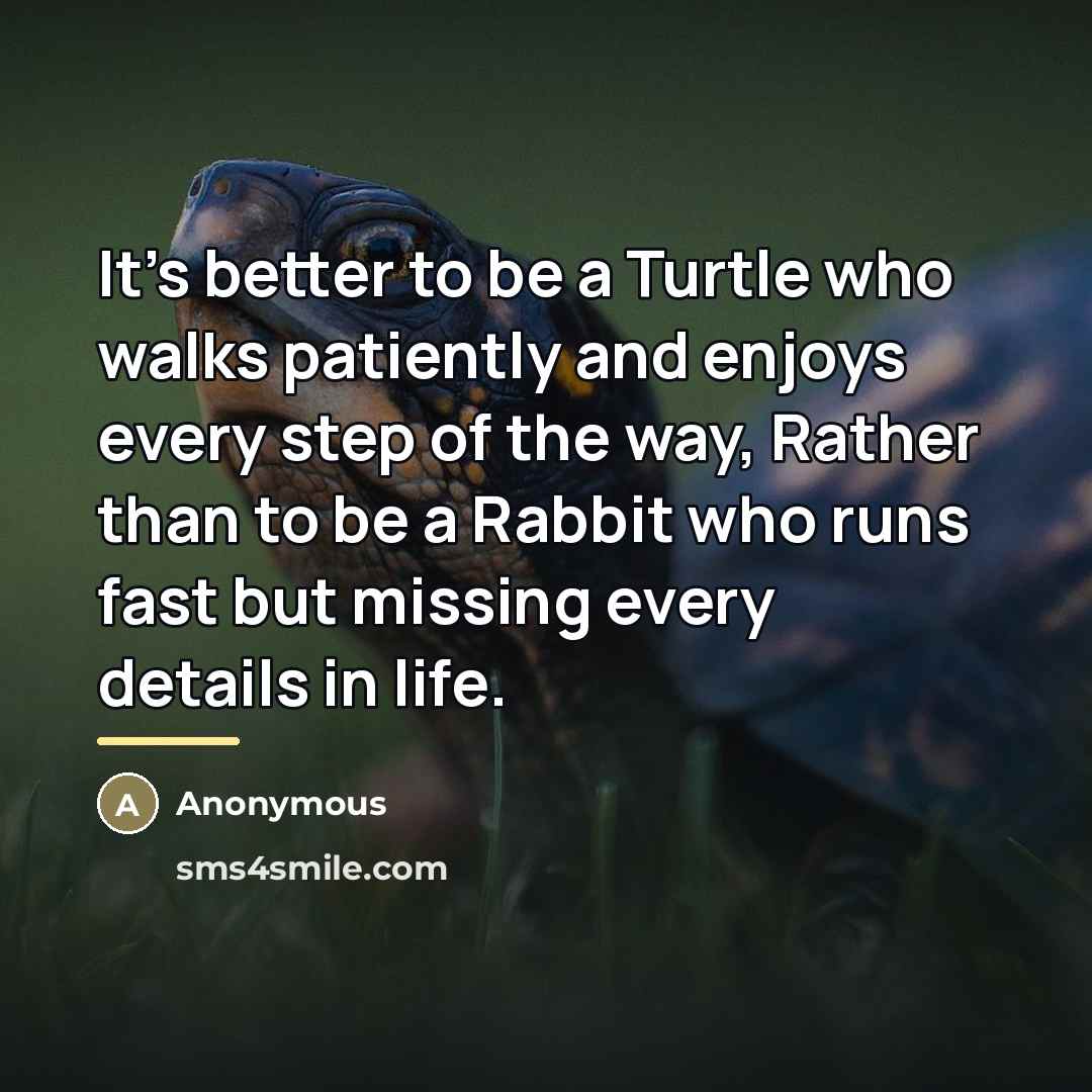 “It's better to be a Turtle who walks patiently and…” quote by Anonymous