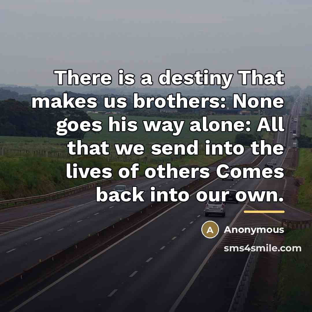 “There is a destiny That makes us brothers: None goes…” quote by Anonymous