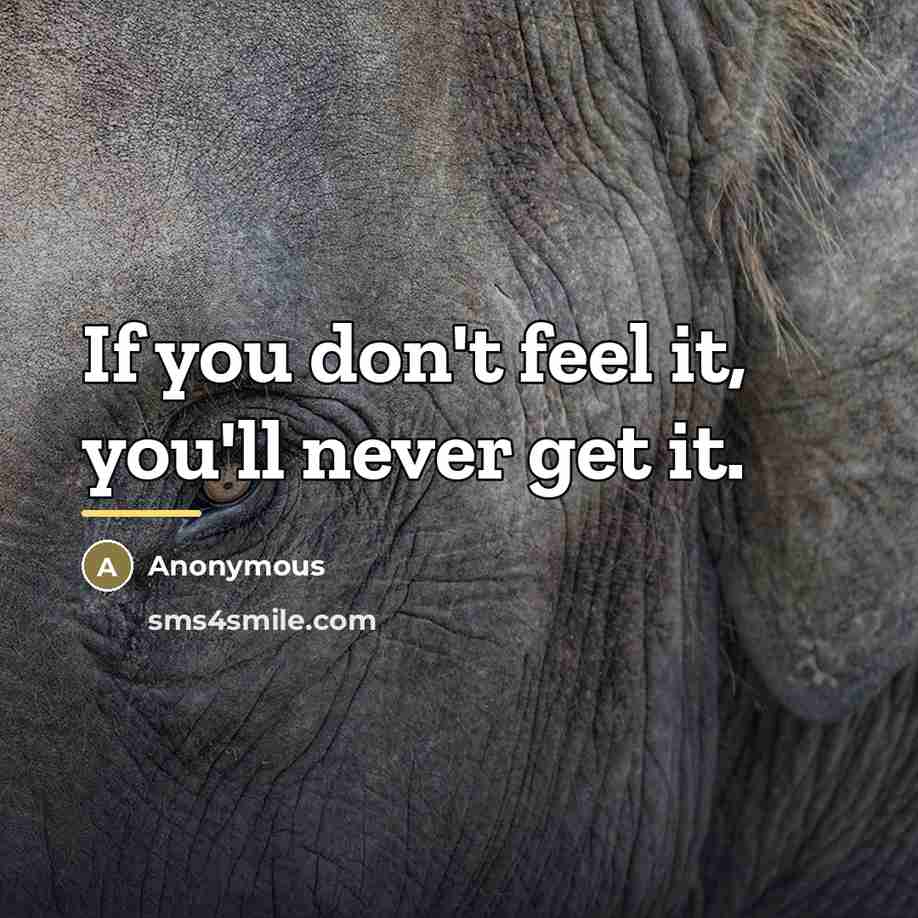 “If you don't feel it, you'll never get it.…” quote by Anonymous