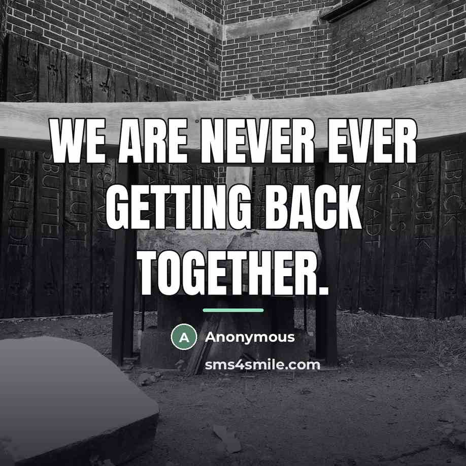 “We are never ever getting back together.…” quote by Anonymous