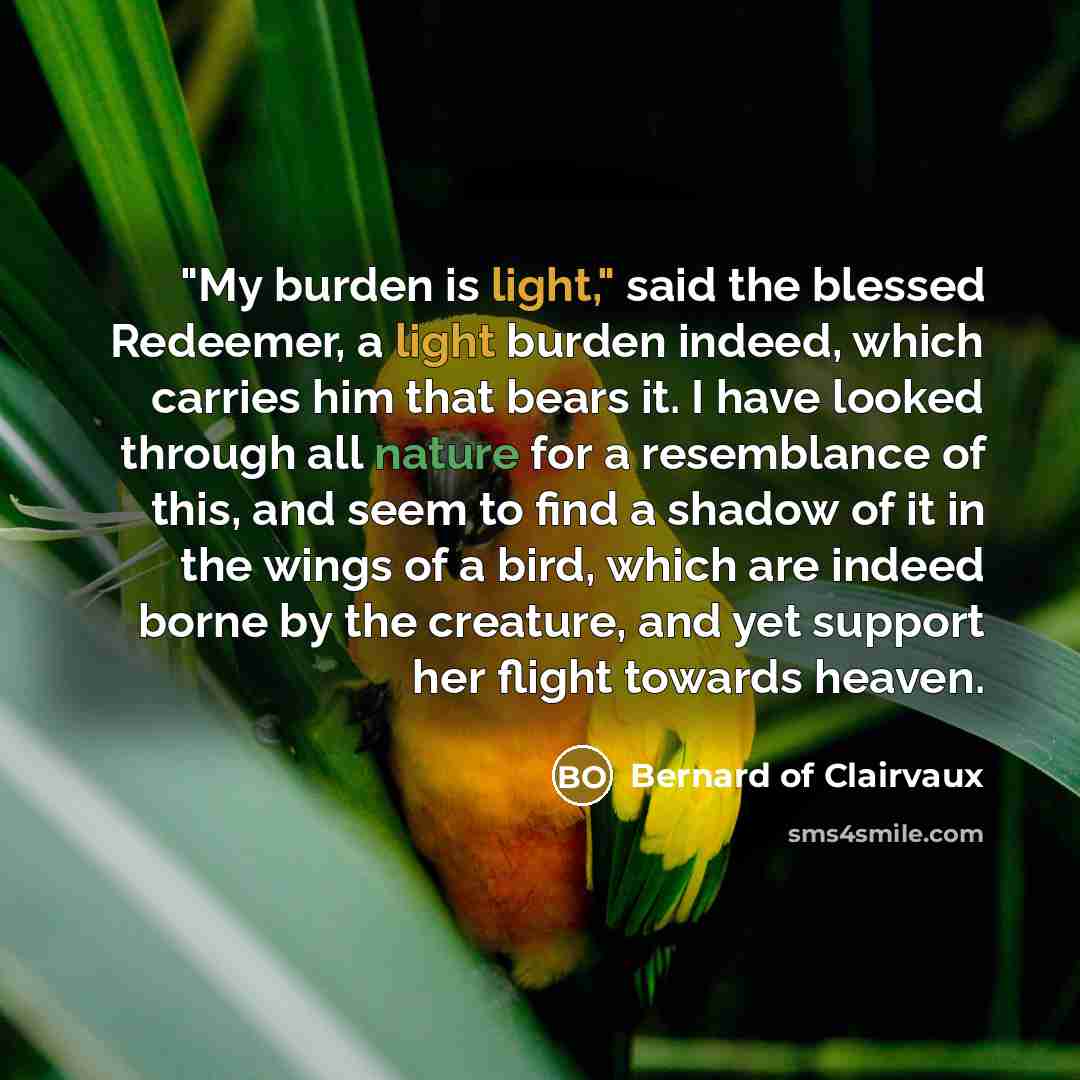“"My burden is light," said the blessed Redeemer, a light…” quote by Bernard of Clairvaux