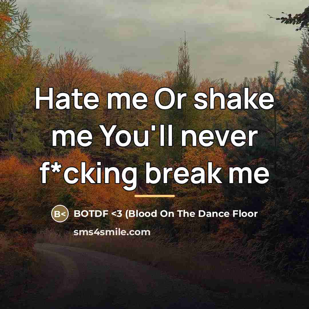 “Hate me Or shake me You'll never f*cking break me…” quote by BOTDF <3 (Blood On The Dance Floor
