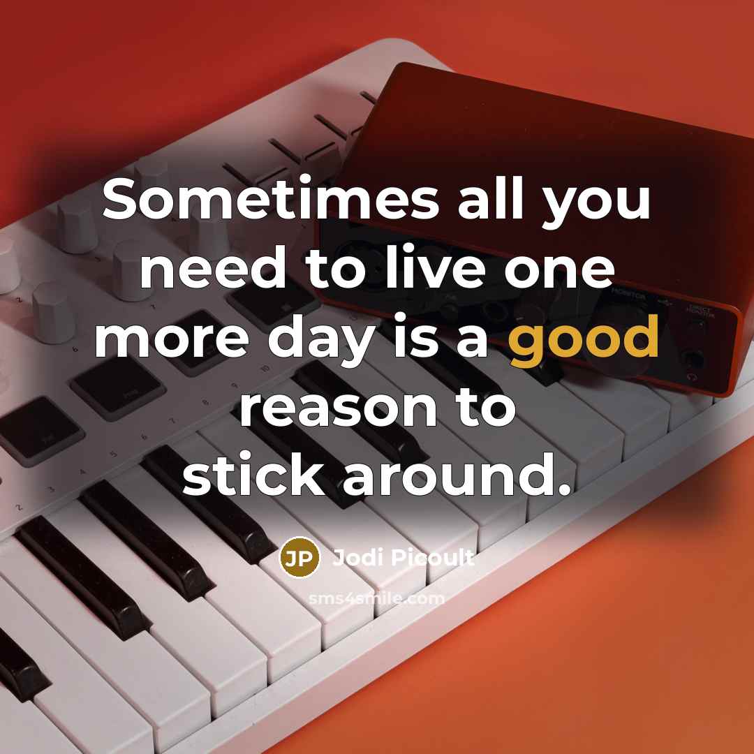 “Sometimes all you need to live one more day is…” quote by Jodi Picoult